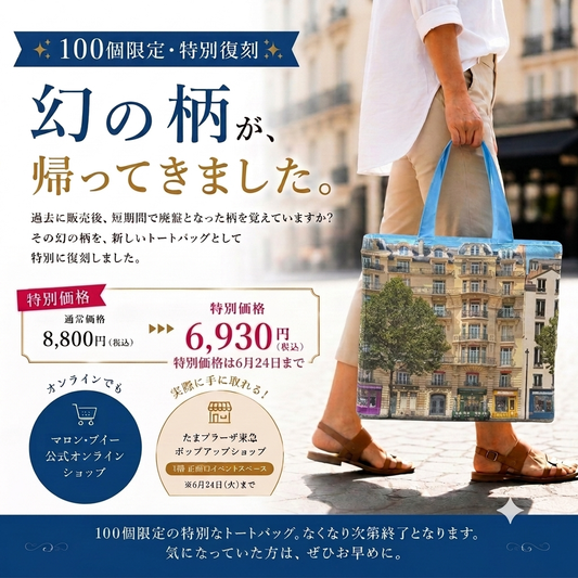 【100個限定・特別復刻】パリ・レトロバッグ（大）パリの街並み柄トートバッグ